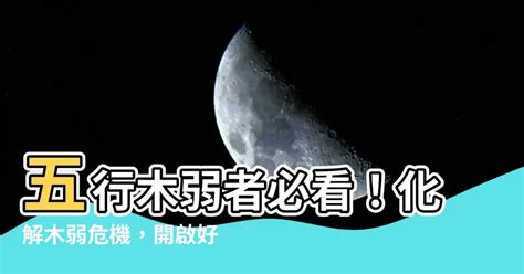 強金強水弱木|風水雜誌《新玄機》 ：五行與十神——你我的命運（三）